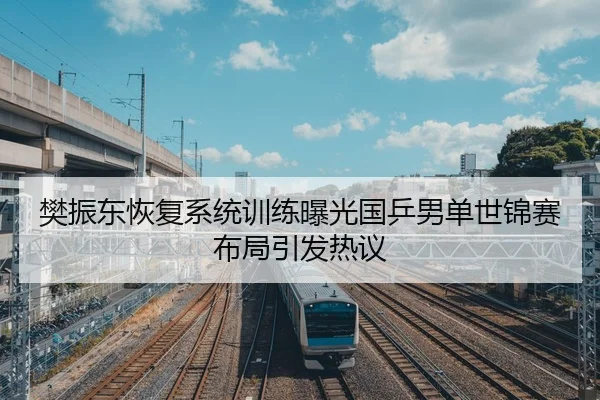 樊振东恢复系统训练曝光国乒男单世锦赛布局引发热议